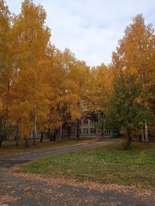 Золотая осень. Золотая осень.